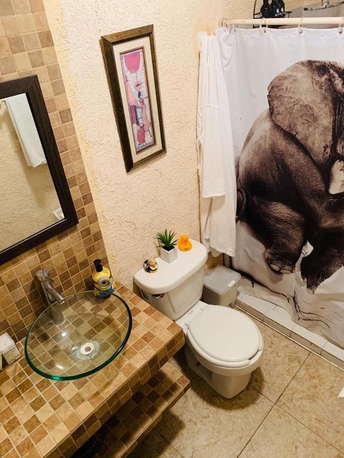 Апартаменти Franks House "Shared House" Канкун Екстер'єр фото